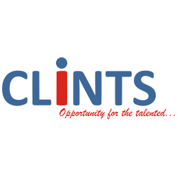clints solutions